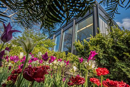 Edith Abbott Hall in the springtime with tulips in front of the building